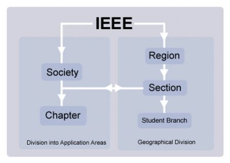 IEEE Structure