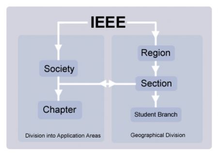 Структура Института IEEE